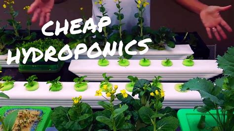 Hydroponics Made Easy .